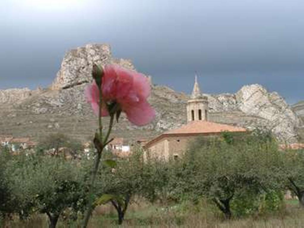 Hotel Rural El Horno De Aliaga Екстериор снимка