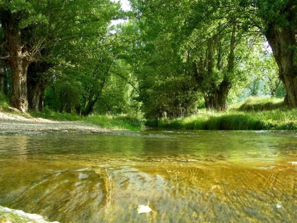 Hotel Rural El Horno De Aliaga Екстериор снимка